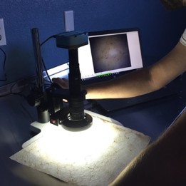 core forensics: providing accurate microscopic evaluations